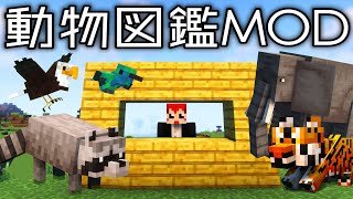 【動物図鑑MOD】伝説の水曜どうでしょう｢ブンブン」から動物観察?!【あかがみん/赤髪のとも/】