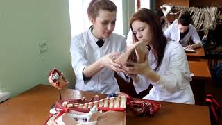 Направление обучения «Ветеринарно санитарная экспертиза»