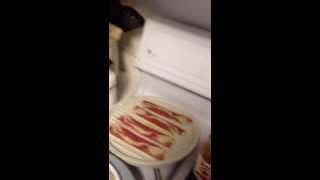 Veggie Bacon Cheese Burger