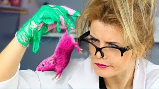 10 PEGADINHAS ENGRAÇADAS EM UM LABORATÓRIO / GUERRAS DE BRINCADEIRAS!