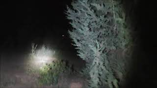 2583 Ε Β NYXTEΡ ΕΚΠΑΙΔ ΣΕΓΚΟΥΤΣΙ ΓΚΕΚΑ ΓΙΑΝΝΗ