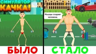 СИМУЛЯТОР КАЧКА! - Muscle King