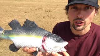 How to catch a fish in a desert