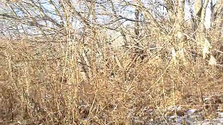 Gletcher NGT стрельба  и демонстрация боевых характкристик