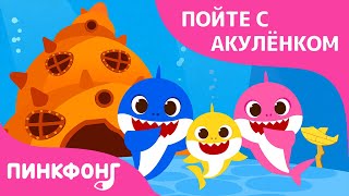 Дома у Акулёнка | Акулёнок | Пойте с Акулёнком | Пинкфонг Песни для Детей