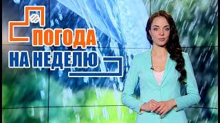 Похолодание и проливные дожди! Надолго ли? / Погода на неделю / Прогноз погоды с 11 по 17 июля 2022