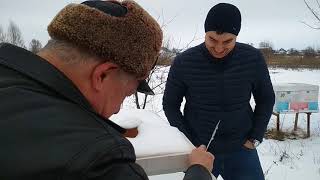 На пасеке у Измайлова Г.Б зимовка бакфаста в нуклеусах.