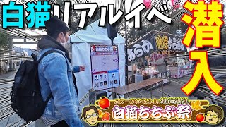 【白猫】白猫トレインツアー&白猫ちちぶ祭に潜入！そしてあの方とコラボ！！【Ockto Channel】