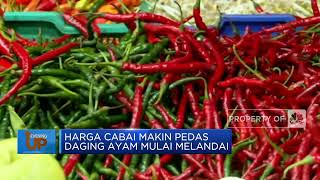 Harga Cabai Makin Pedas Daging Ayam Mulai Melandai