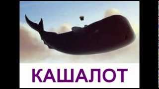 Животные для детей. "Морские жители" - Презентация для детей.