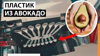 КАК ИЗ ОТХОДОВ АВОКАДО ДЕЛАЮТ ПЛАСТИК