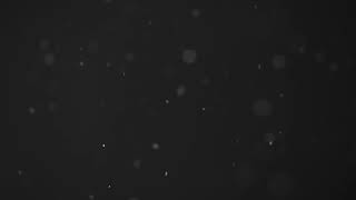 Видео фон, футаж Пыль / Video background, footage Dust