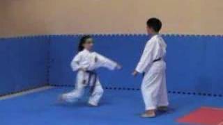 Sanbon Kumite