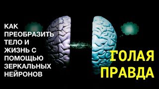 ✅КАК ПРЕОБРАЗИТЬ ТЕЛО, ЖИЗНЬ С ПОМОЩЬЮ СОБСТВЕННЫХ ЗЕРКАЛЬНЫХ НЕЙРОНОВ? ЗЕРКАЛО Ментальный фитнес 3Z