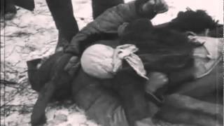 Солдатам Великой Отечественной