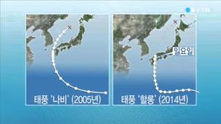 태풍 '나비' 닮은꼴 할롱…예상되는 피해는? / YTN