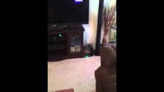 Samsung HT-H7730wm Surround Sound System