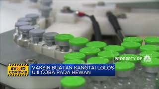 China Punya 5 Kandidat Vaksin Covid-19