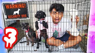 Escape The Dog Cage Challenge Part 3!