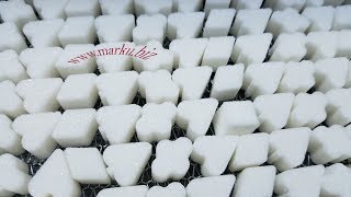 fancy shape sugar, фигурный сахар, cube sugar machine