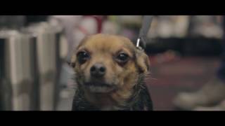 Canon T3i w/ EF 50mm f/1.8 STM Test Shots