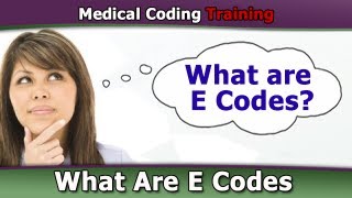What are E codes?