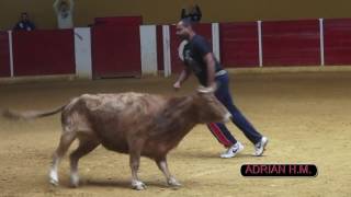 CAPEA MURCIA 12-12-2015