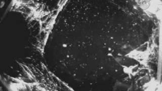 Space Spider: Battle with Microgravity