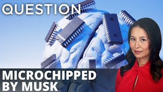 Elon Musk wants to chip your brain!