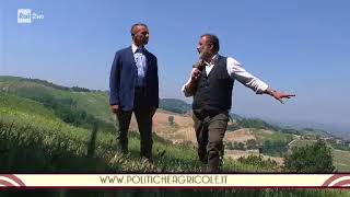 Signori del Vino RAI 2 - 21/10/2017