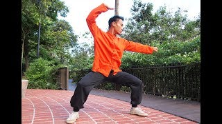 Traditional Hainan Martial Arts in Singapore 传统海南功夫 (新加坡)
