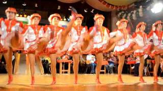 Friedersdorfer Funkengarde (FKK)