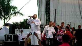 mexicano Party'' de Virgilio, homenage a T E M P O