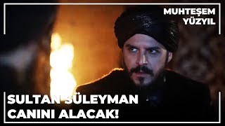 Ahmet Paşa, Şehzade Mustafa'ya Haber Gönderdi! | Muhteşem Yüzyıl