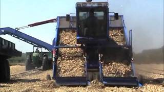 cipolla onion harvester