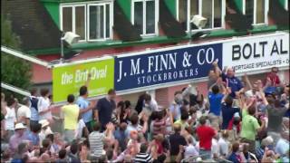Cricket Montage