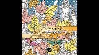 Dromenvanger by Tomislav Tomic - Zemlja Snova Dutch edition coloring book