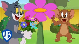 Tom y Jerry en Latino | Época floral | WB Kids