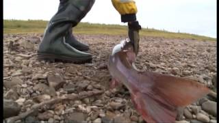 tv-fishing.ru выпуск 079 Моя рыбалка