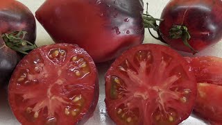ТОМАТ "СЕРЖАНТ ПЕППЕР" (Sgt. Pepper's США) №328. ДЕГУСТАЦИЯ. 
