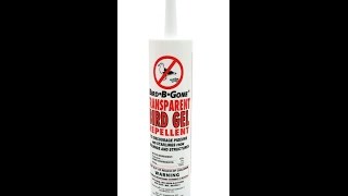 DIY How to Get Rid of Birds!! |  Bird Be Gone Transparent Gel