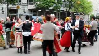 Flash Mob - Hungarian Style
