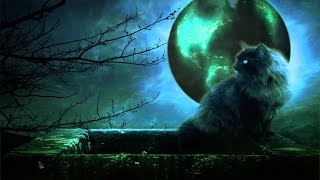 Интуиция и вещие сны. Intuition and prophetic dreams
