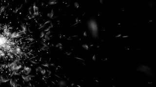 Feathers Spread - 4K Organic MATTE TITLE Effect for Trailers #AAVFX