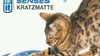 catitSenses - Kratzmatte, Spielschiene, Massage-Center