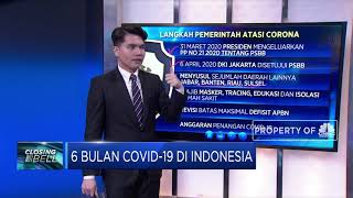 6 Bulan Covid-19 Di Indonesia