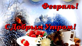 С Добрым Утром в феврале! Самое красивое пожелание Доброго Утра!