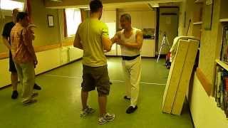 Wing Chun Punch