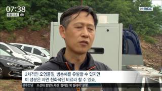 [뉴스투데이]수중 불청객들 '비료'로 재탄생