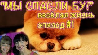 Монстр (Монстер) Хай Игры - PlayLAPLay Сериал "Весёлая Жизнь"Эпизод №1